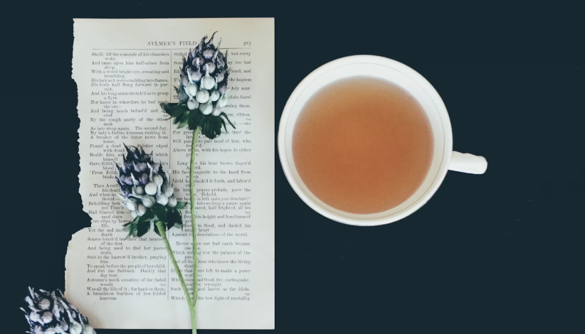 영지 버섯 차 효능