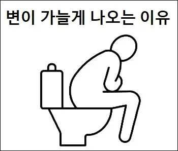 변이 가늘게 나오는 이유