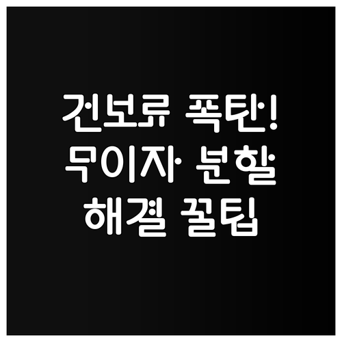 갑작스러운 건강보험료 폭탄 무이자 분..