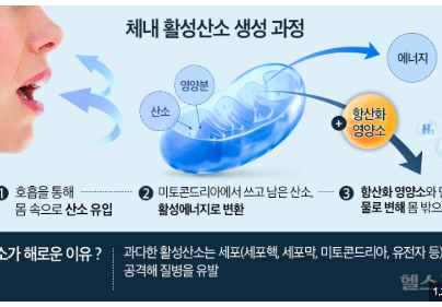 활성산소 줄이는 방법 알아보기