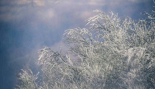 덕유산 케이블카 예약