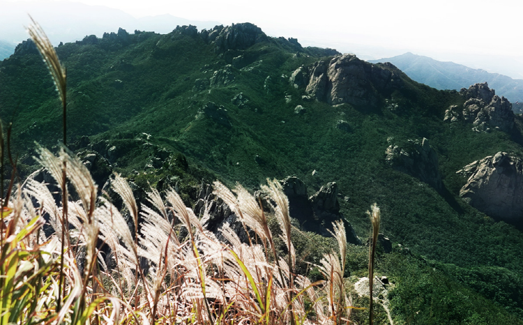 월출산 등산코스