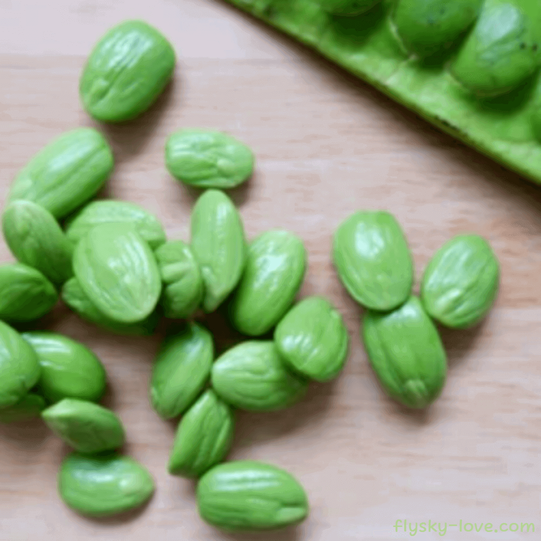 프타이 콩 (Petai Bean)