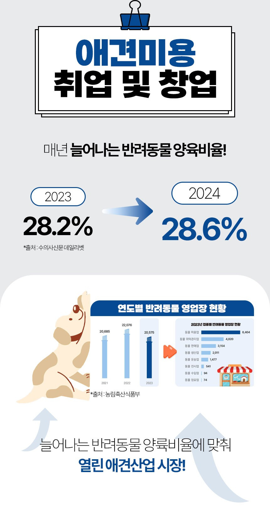 애견미용창업