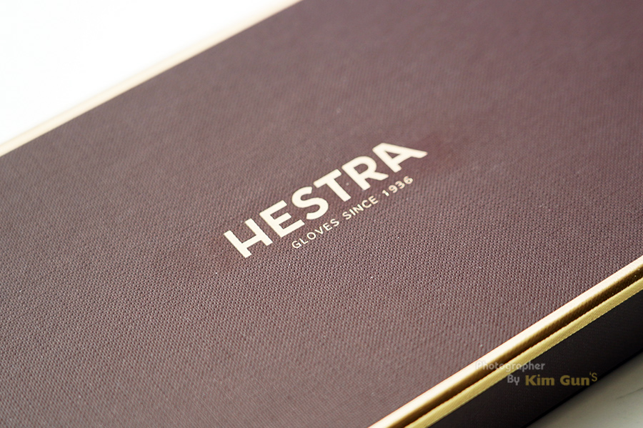 헤스트라 장갑 케이스