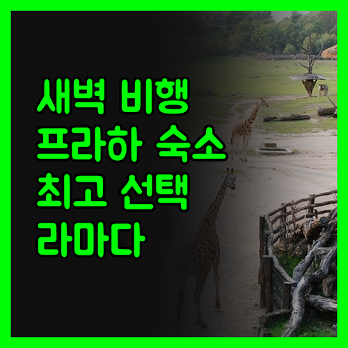 새벽 비행 걱정 끝! 라마다 에어포트