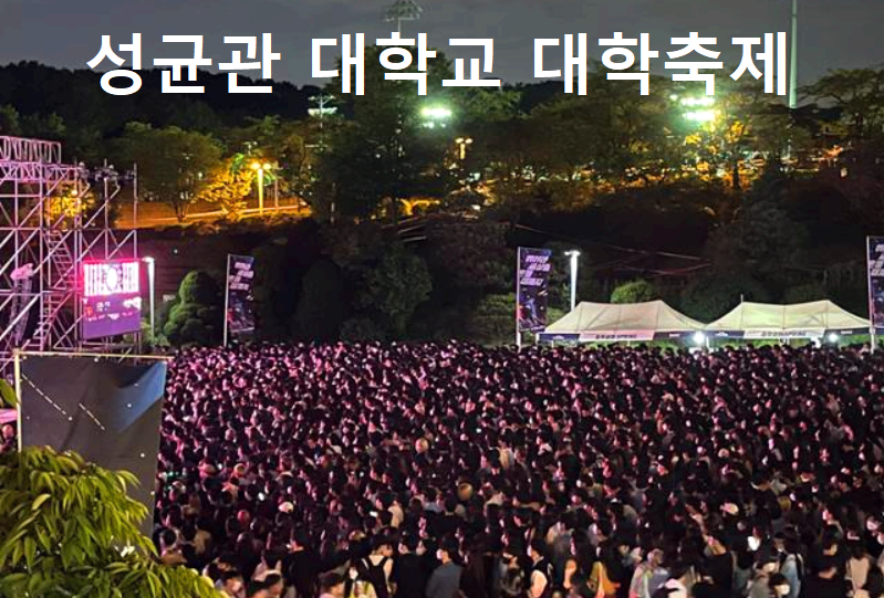 성균관대학교 축제
