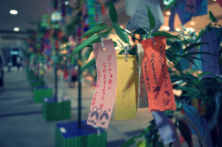 대나무에 소원이 적힌 종이가 걸린 모습