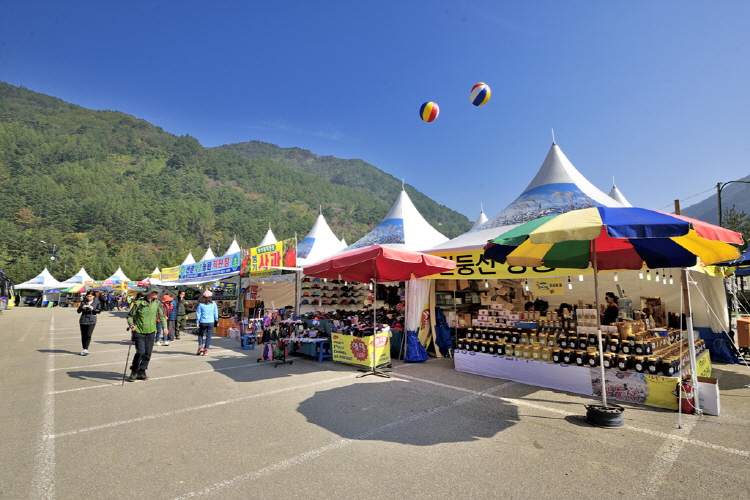민둥산 억새꽃축제
