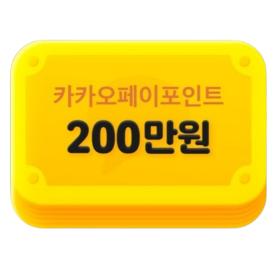 카카오페이 포인트