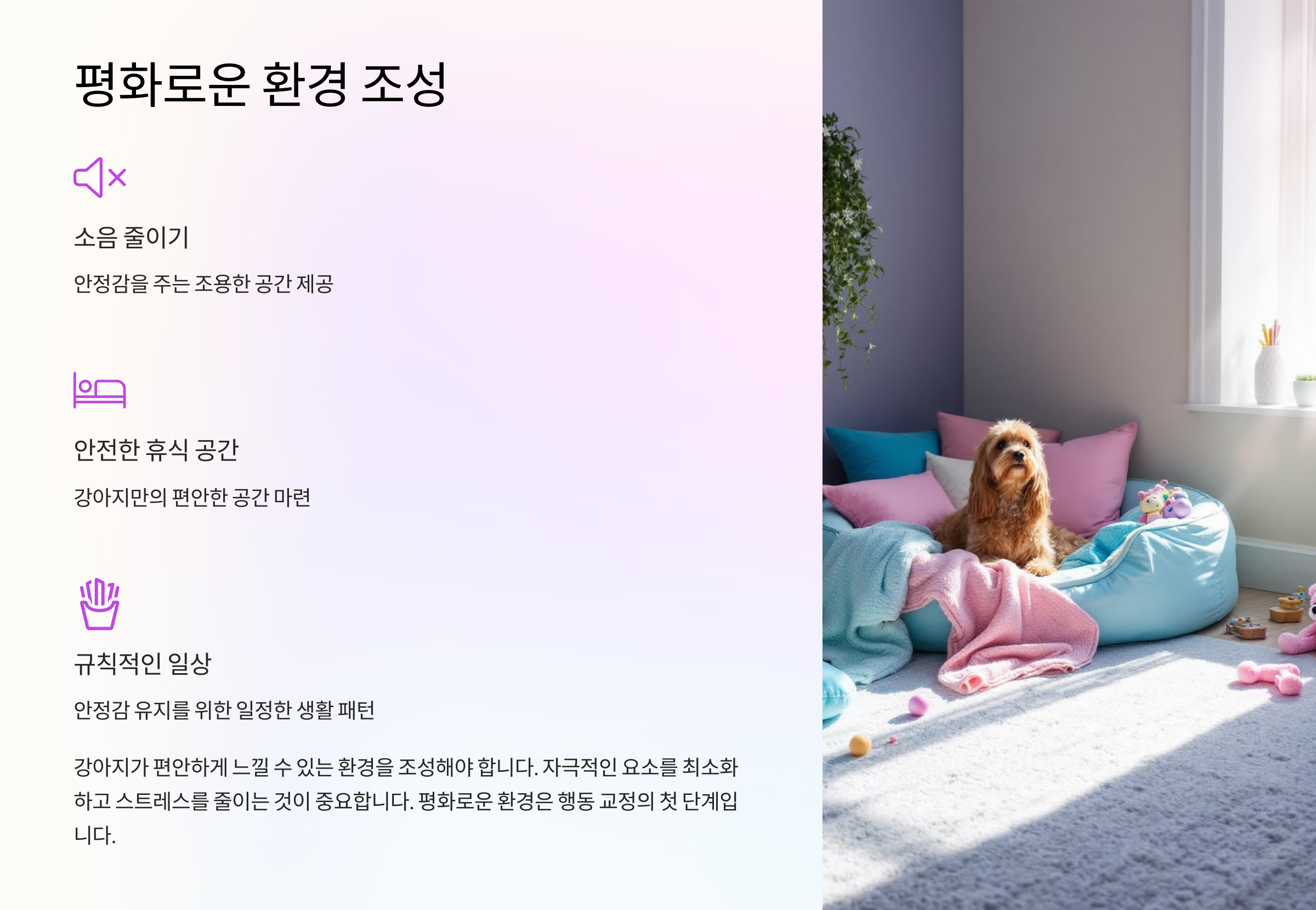 평화로운 환경 조성