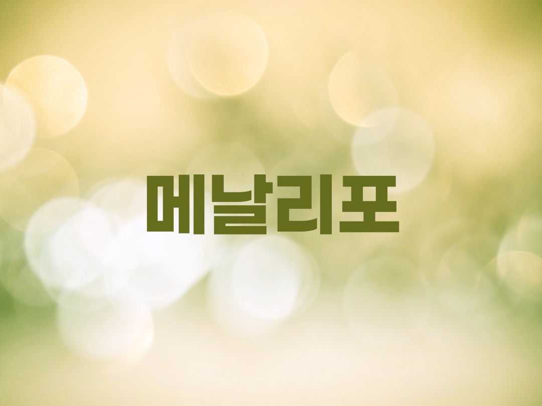 메날리포 천주교 남자세례명