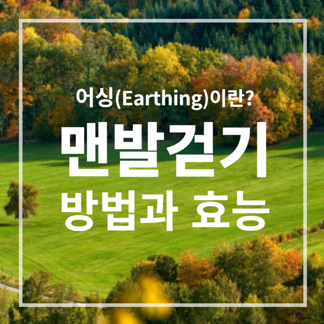 맨발걷기 방법과 효능