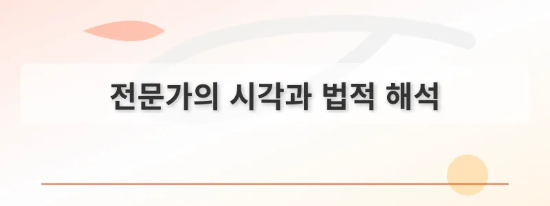 전문가의 시각과 법적 해석