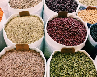 알부민 많은 음식