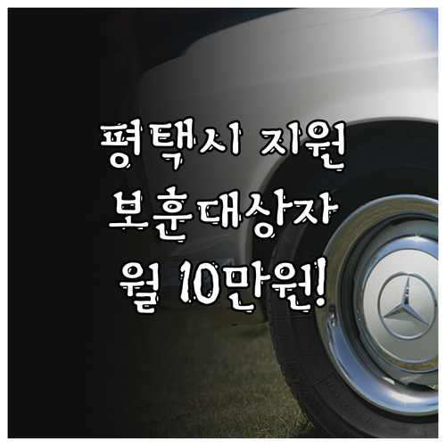 평택시 2025 국가보훈대상자 명예수..