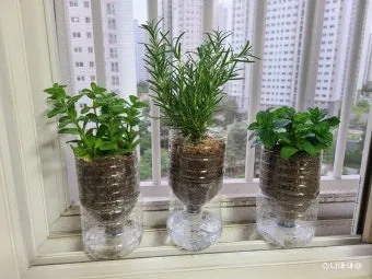 자동급수 화분 선택 물탱크관리 여행중건조 예방 쉬운 사용법_5