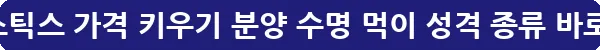 유로메스틱스 가격 키우기 분양 수명 먹이 성격 종류_17