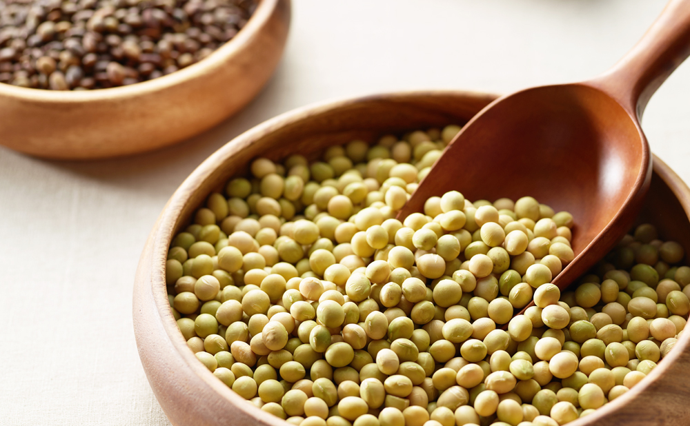 bean