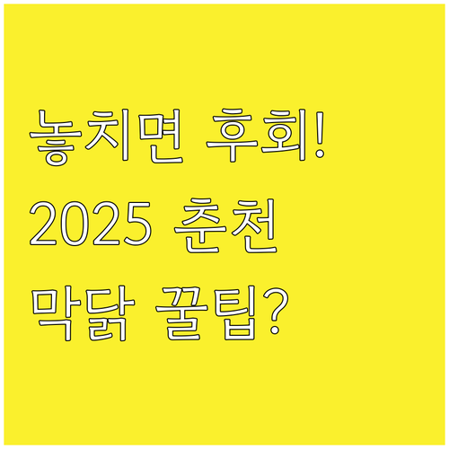 춘천 전역으로 확장된 2025 막국수..