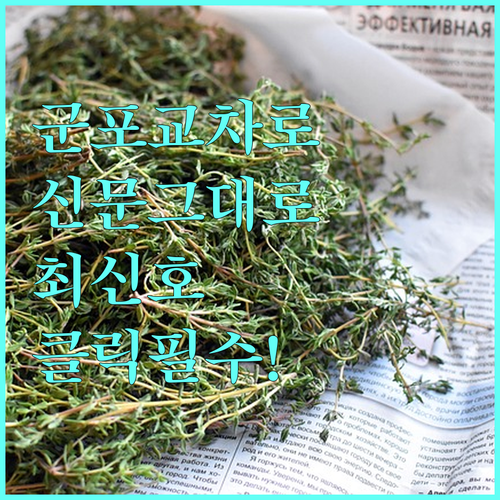 군포 교차로 신문 그대로보기 서비스 ..