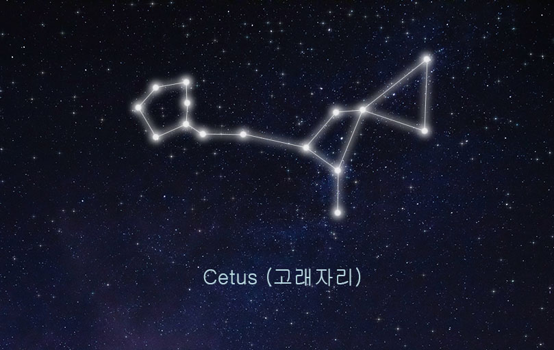 고래자리 관련 이미지