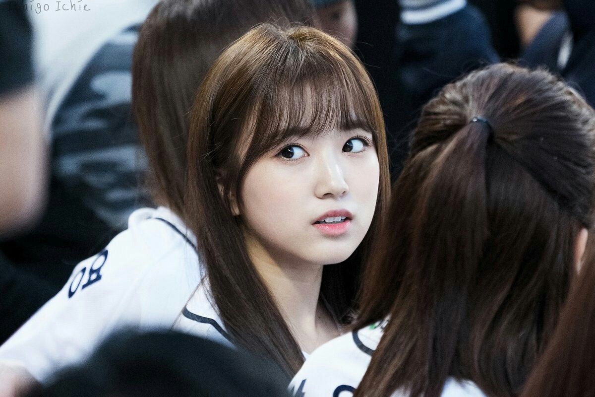 아이즈원 야부키나코 아이즈원 야부키나코