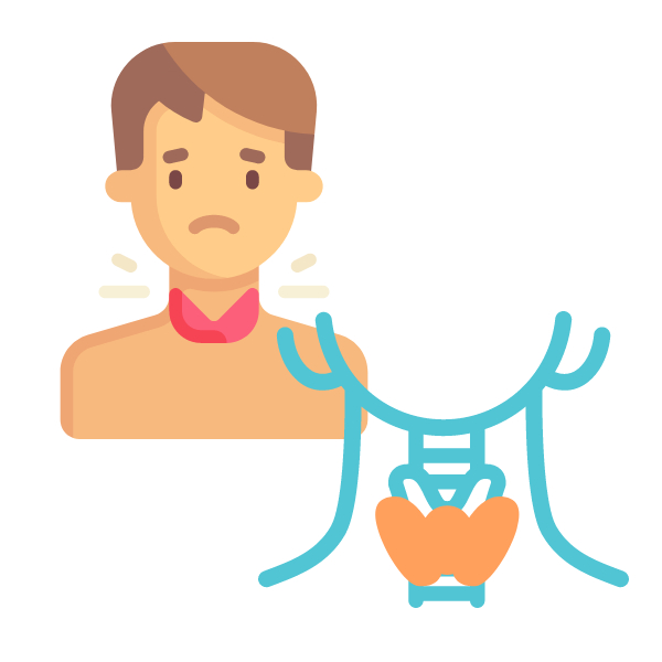 갑상선모습