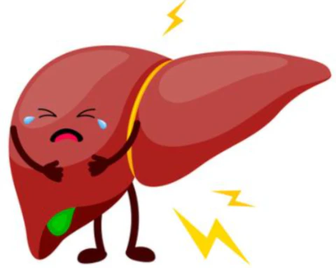 공진단-효능-먹는법-건강