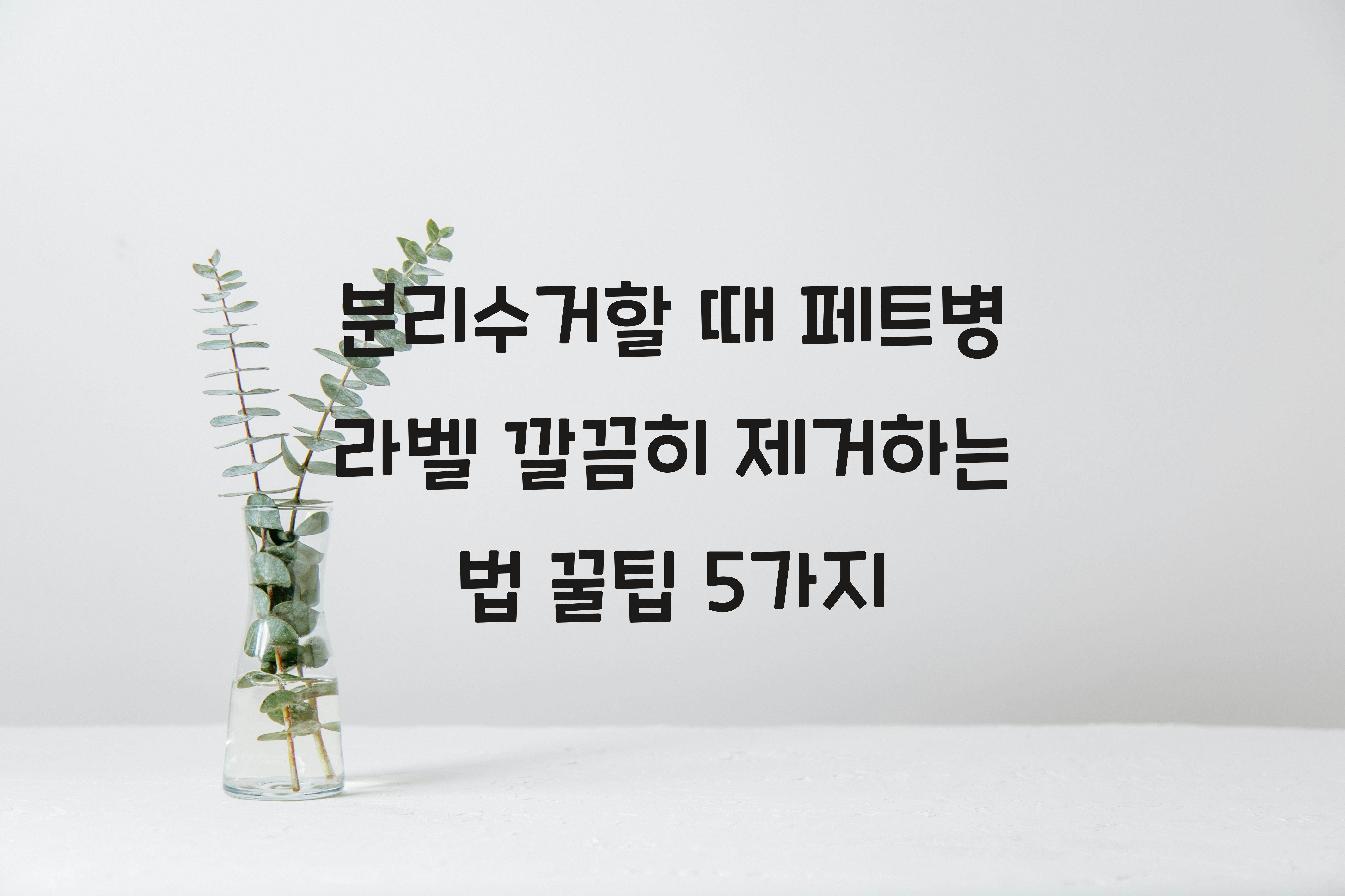 분리수거할 때 페트병 라벨 깔끔히 제거하는 법