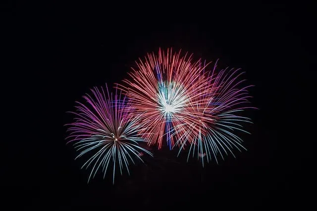 2025 9월 동행축제 개막!