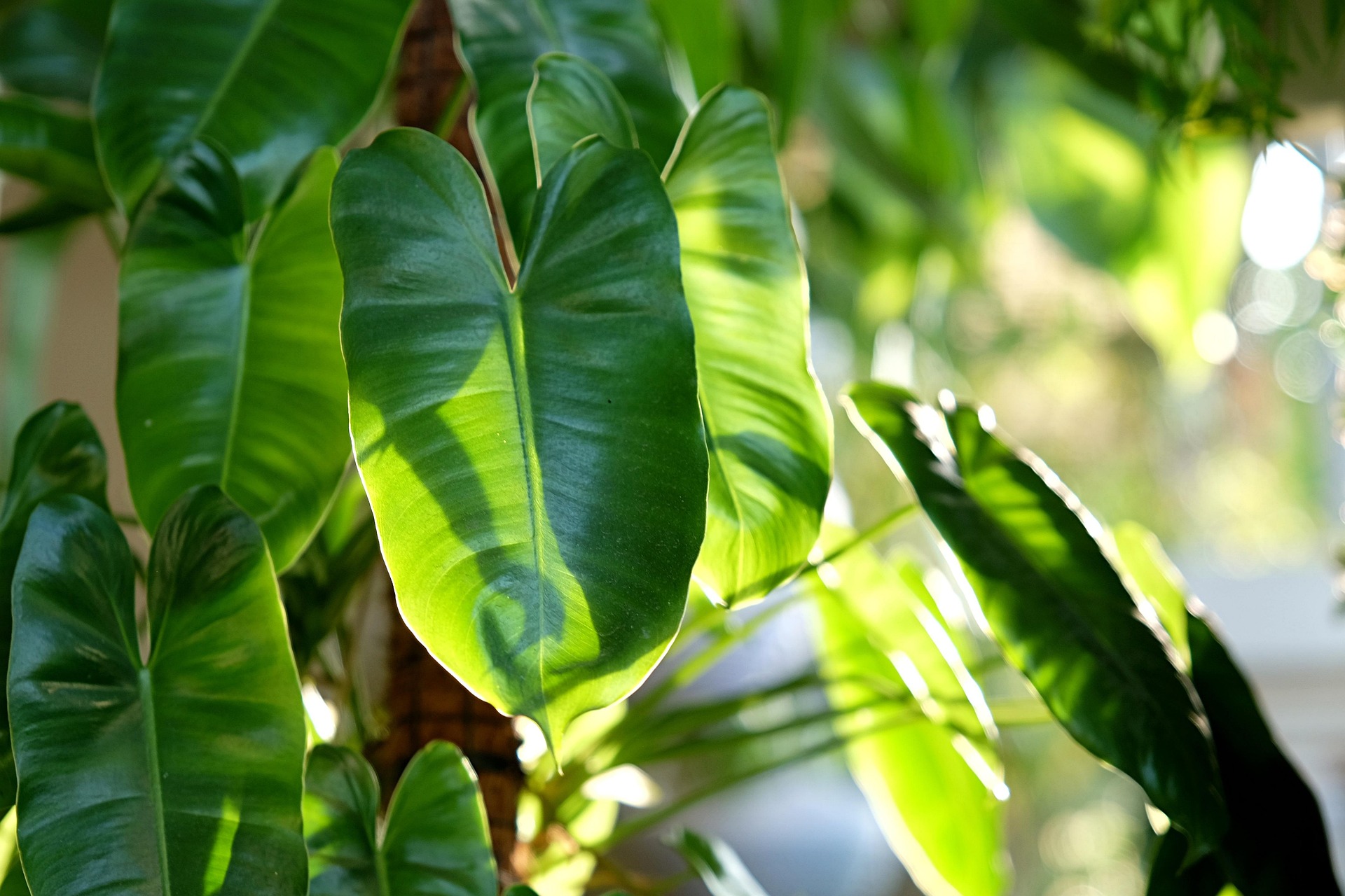 &amp;quot;내 마지막은 내가 결정합니다&amp;quot; 자식들의 짐을 덜어주는 &amp;#39;가장 따뜻한 약속&amp;#39;