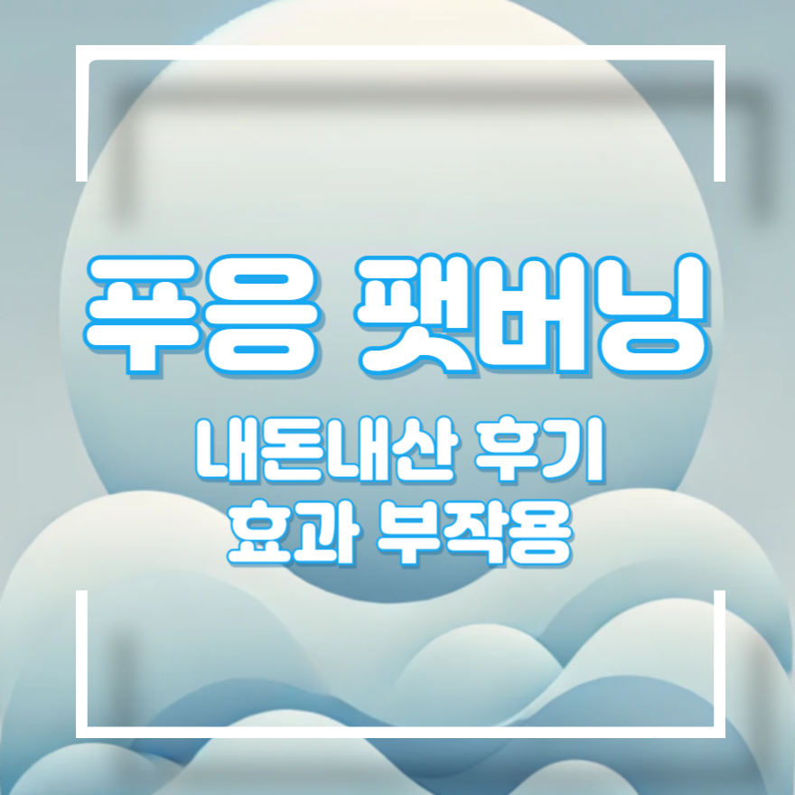 푸응 팻버닝 내돈내산