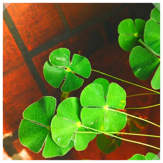 보안 걱정 없는 스마트홈을 위한 설정 가이드