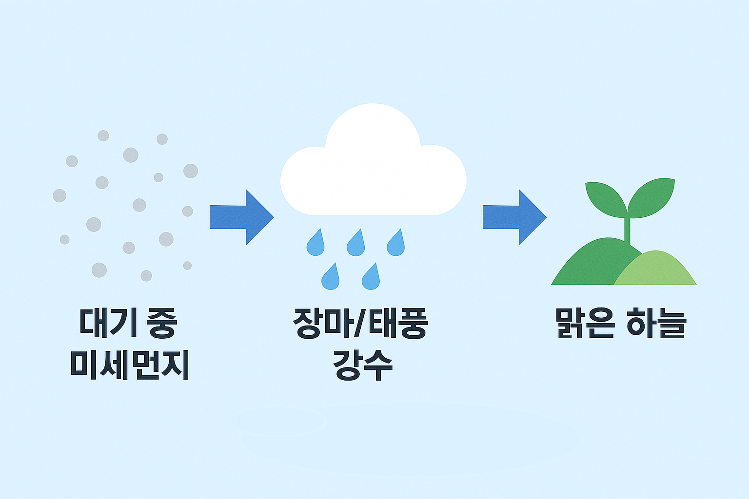 대기 정화 메커니즘