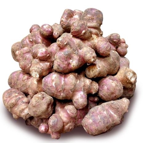 돼지감자차 효능