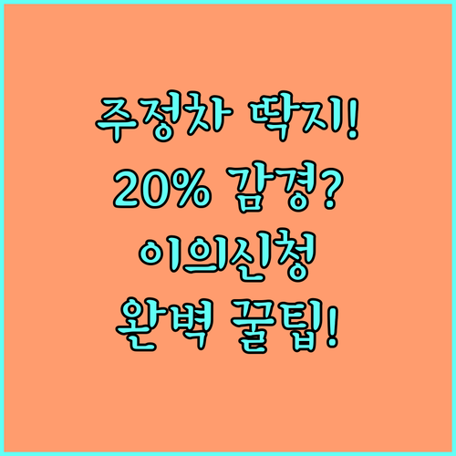 주정차 위반 과태료 조회부터 20% ..