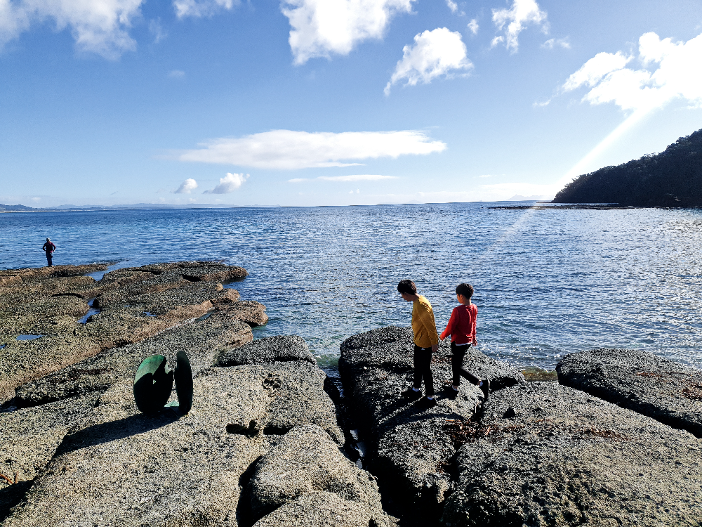 Goat Island Marine Reserve