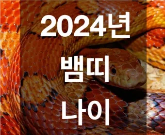 2025 뱀띠 나이 53년 65년 77년 89년 01년생 정리_30