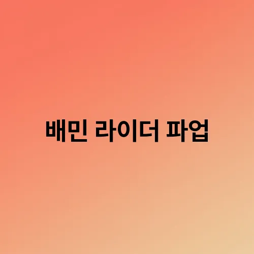 배민 라이더 파업