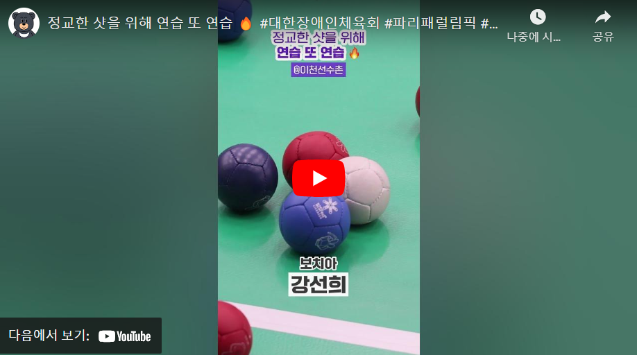 2024 파리 패럴림픽 대회 장애인 보치아 한국 국가대표 선수단 명단 (정성준 서민규 김도현 정호원 정소영 강선희)