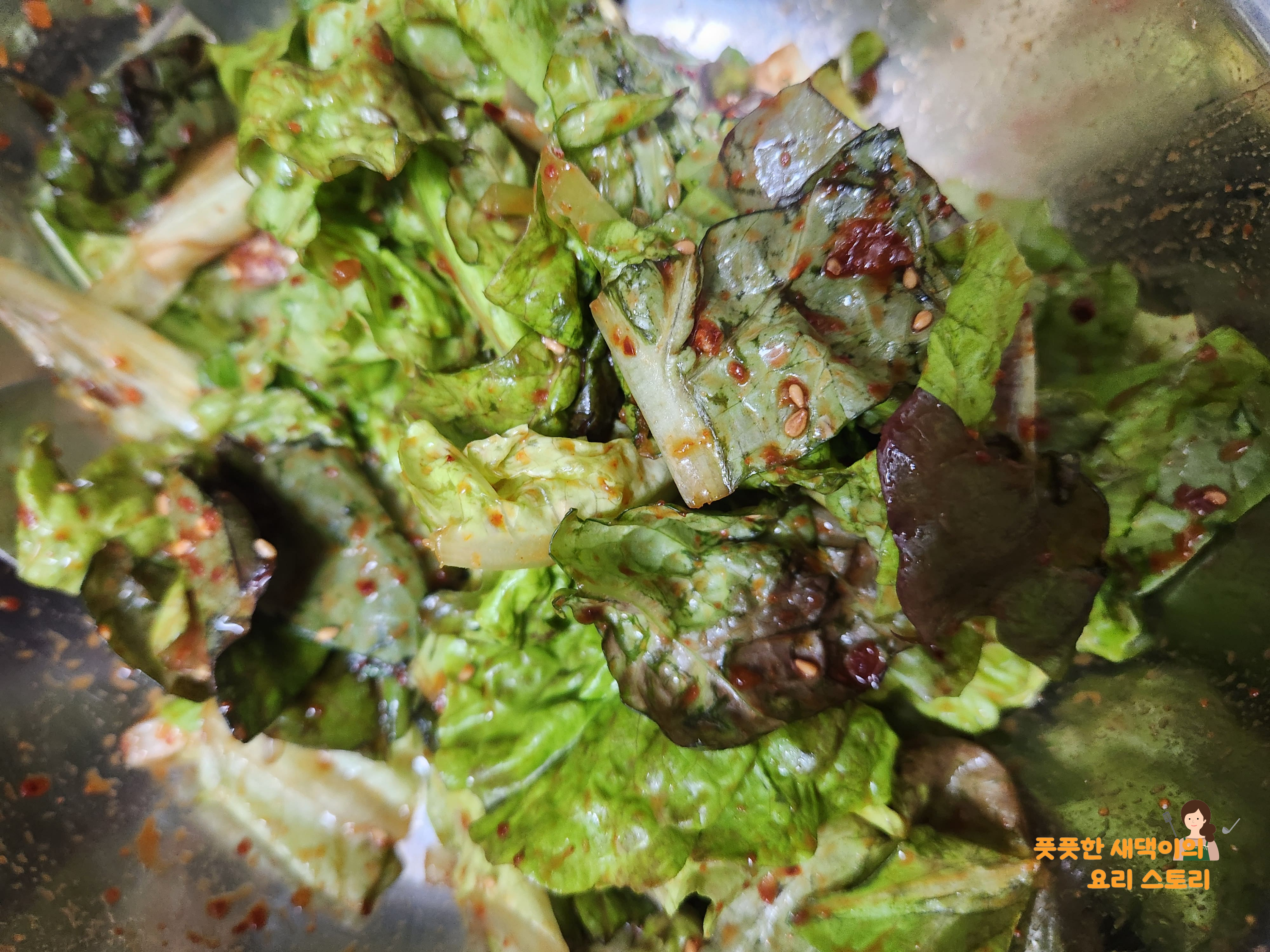 양념 묻힌 상추 겉절이