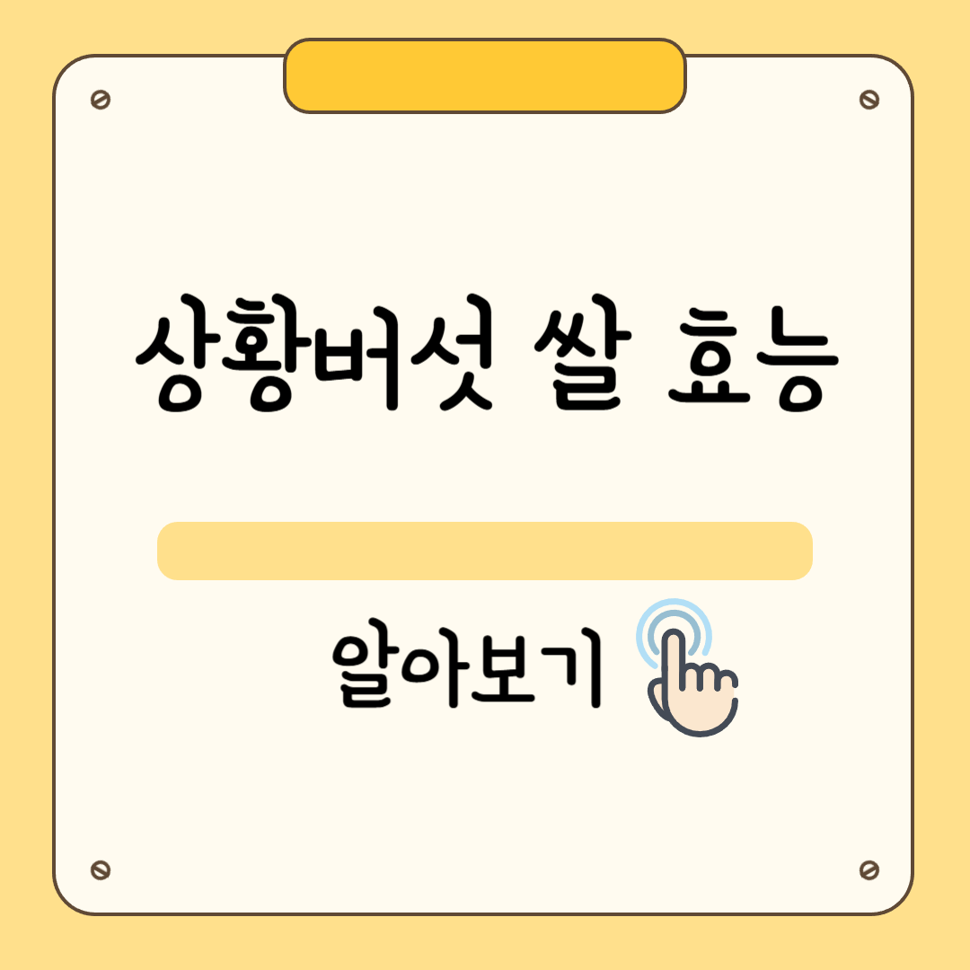 상황버섯 쌀 효능