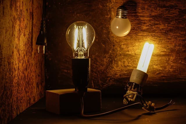 파충류 건강을 위한 필수 난방 정보 총정리