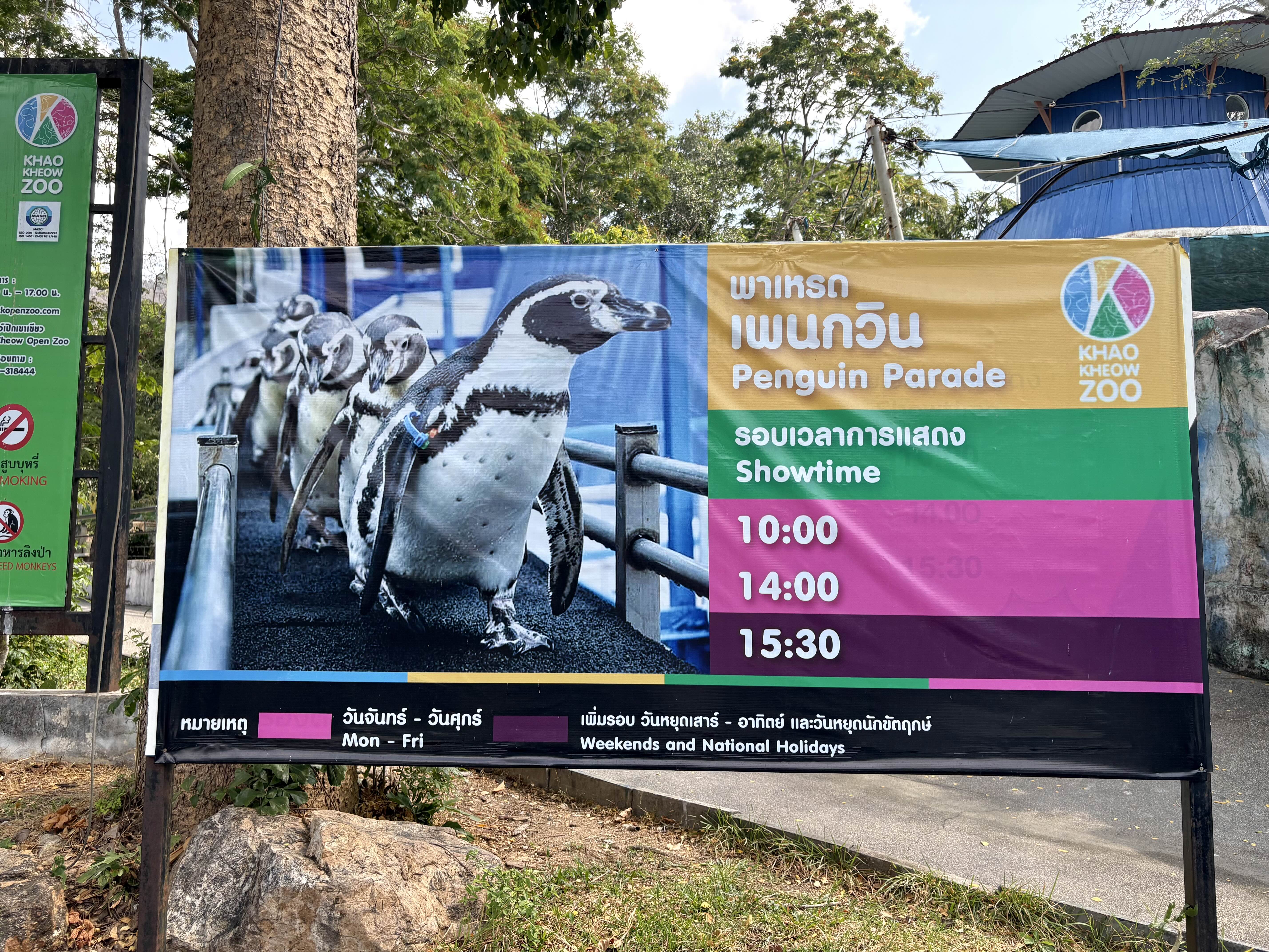 카오키여우 오픈주 입장권