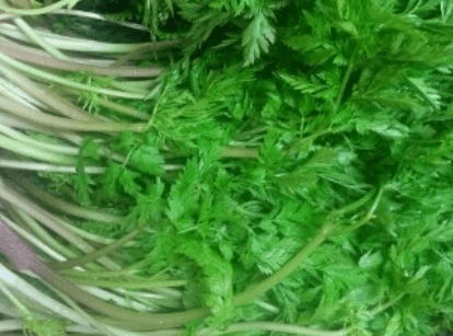 전호나물 효능 무침 요리 사진 및 모종 재배 알아보기