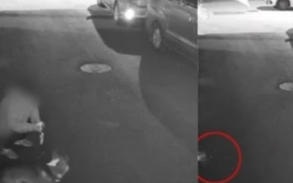 김호중-동석-가수-개그맨