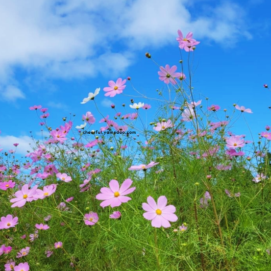 영월 가볼만한곳