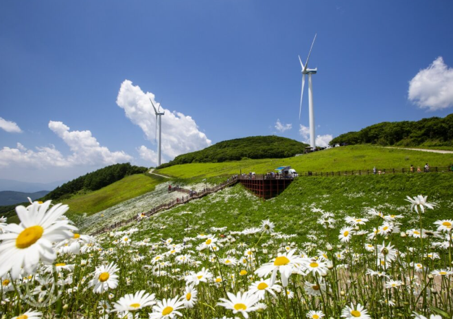 지역사랑 휴가지원제 2026 평창 반값여행 신청방법 4월 5월 6월 가볼만한곳