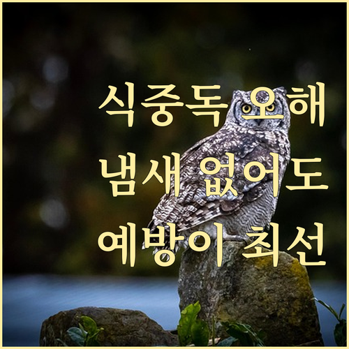 식중독 오해와 진실: 냄새 없어도 위..
